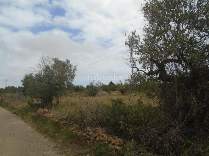 Foto a8b2888e-2f48-47fa-a8bb-e6f43aeea4e1. Finca rústica a Clarà Torredembarra