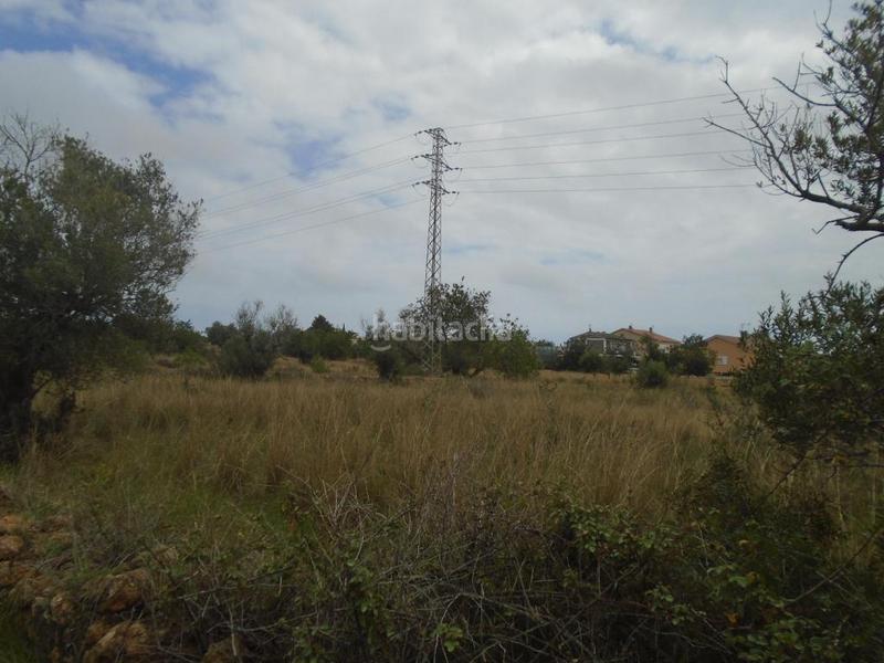 Foto a903f628-c9ef-46e9-aca2-c5ba7dd39e3b. Finca rústica a Clarà Torredembarra