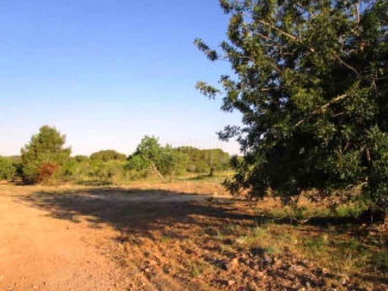 Foto 59674be9-9187-4d1a-a5e0-22f2273c3658. Finca rústica a Clarà Torredembarra