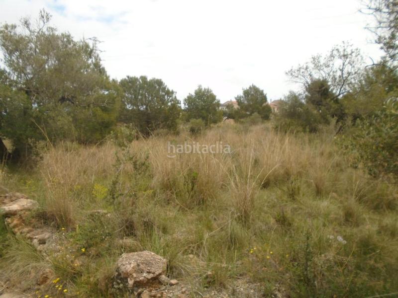 Foto 1295c93d-d700-4987-9640-da1fb904cd7a. Fondo rustico in Clarà Torredembarra