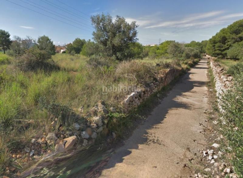 Foto 19bddcb8-5053-4eff-b0b7-01f7e0a9aba8. Fondo rustico in Clarà Torredembarra