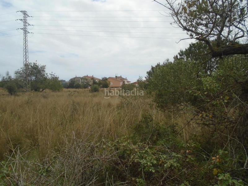 Foto 39a65b53-8912-4ec3-97b5-0f75cd15453d. Fondo rustico in Clarà Torredembarra