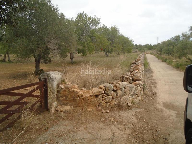 Foto 3bc5cb87-2ac8-4629-8ec4-9cad346d86d7. Fondo rustico in Clarà Torredembarra