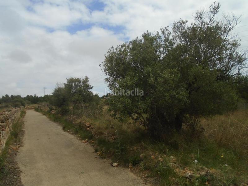 Foto 46096143-38b9-45e7-8d37-d37c3c5209dc. Fondo rustico in Clarà Torredembarra