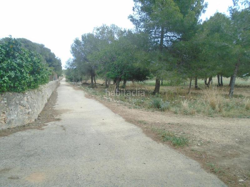 Foto 86a15c28-091d-4a32-bbae-356af2e1145a. Fondo rustico in Clarà Torredembarra