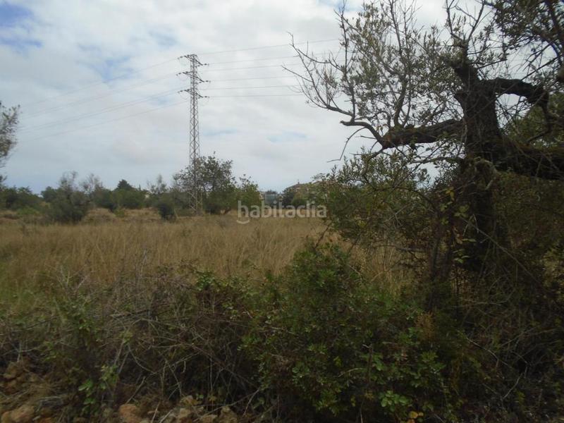 Foto ae97ed49-c4b1-4afa-bf33-3ff63852d66a. Fondo rustico in Clarà Torredembarra