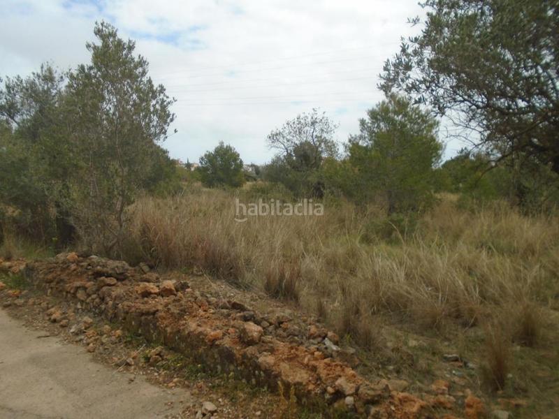 Foto cb77cc53-d0f7-4e2f-8652-bb4f45525af2. Fondo rustico in Clarà Torredembarra