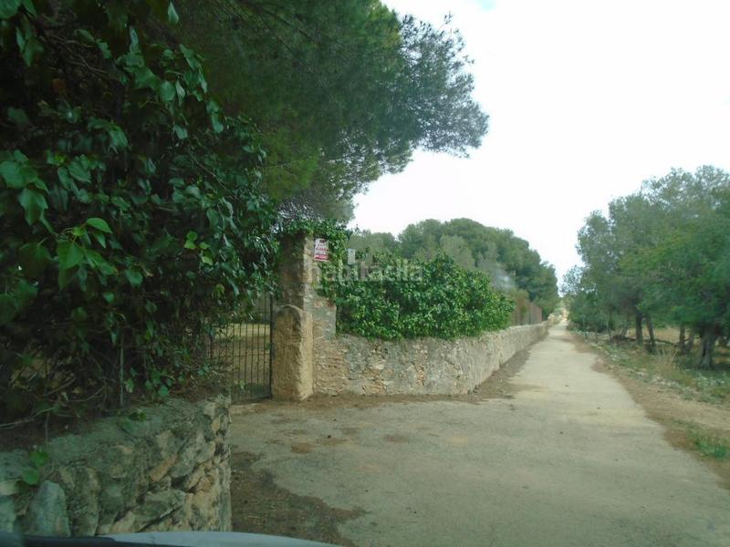 Foto e4830972-f2f5-485a-a4de-4b8c3bc6b11e. Fondo rustico in Clarà Torredembarra