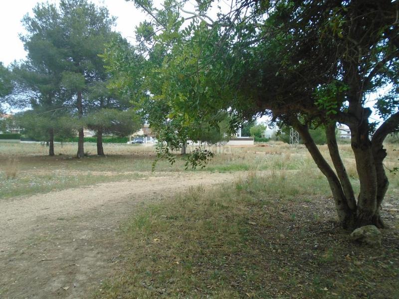 Foto e8b4edfa-73b6-4271-a1c1-e2f936dcaabe. Fondo rustico in Clarà Torredembarra