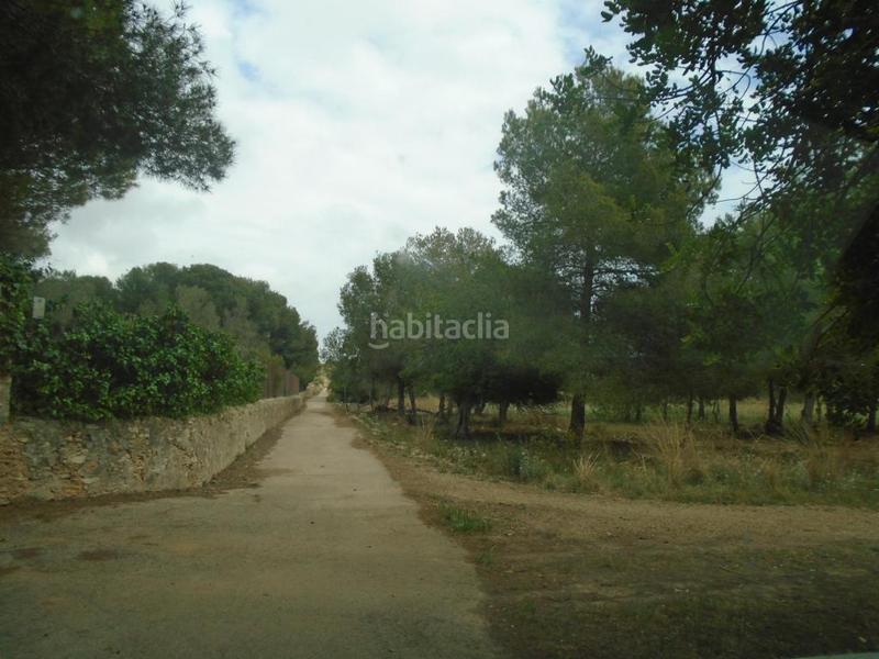 Foto fdd56c25-83ad-47a7-9e3d-44971e018112. Fondo rustico in Clarà Torredembarra