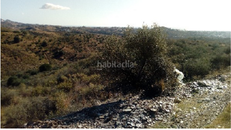 Foto dd00c1a3-777f-4c2d-99ba-fc71c35cfdd0. Finca rústica a Mijas golf Mijas