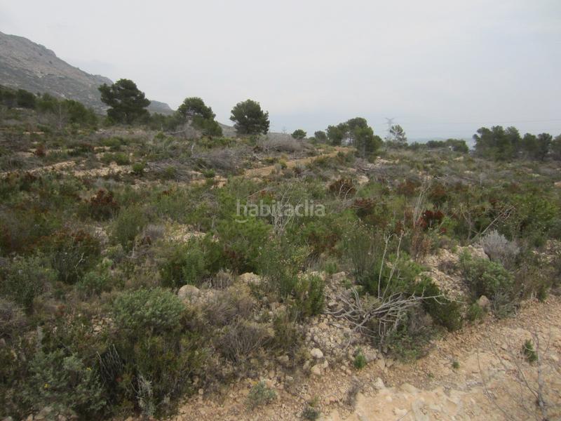 Foto 2b8af079-80d0-4a03-af63-1543bcce2ed9. Finca rústica a Coloma Nucia (la)