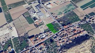Rural plot  C/ juan carlos i sc ua-8 del raiguero. Solvia inmobiliaria  suelo urbano beniel