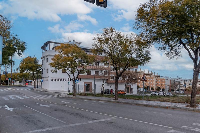 Foto a28d7218-eb08-45fb-8b52-11528da2452e. Local comercial solvia inmobiliaria locales en El Valle Lucena