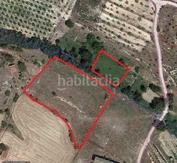 Foto 379974d4-582d-46bc-b599-3ecbbb56e5de. Finca rústica a Albi (L´)