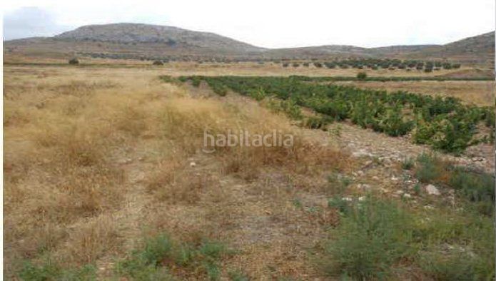 Foto b30fb910-89bf-4451-94eb-e8d66304677e. Finca rústica a Jumilla