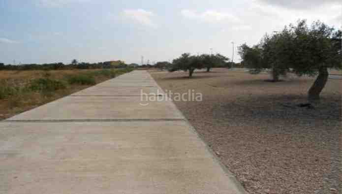 Foto b1cef4a1-e6f8-4c12-ba34-8a2ad3a8503c. Oficina a Ampolla (L´)