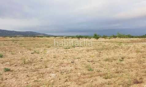 Foto 86c325ab-4e5b-496e-be84-5379e477c1b3. Finca rústica a Jumilla