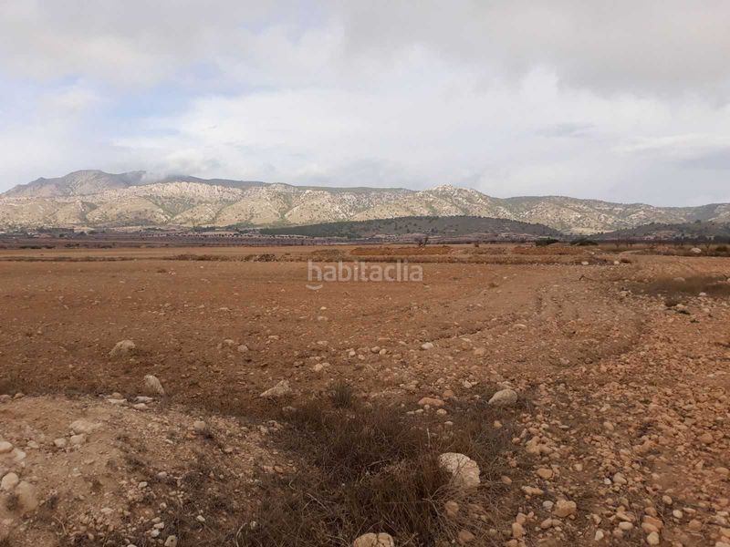 Foto ecadc39e-d232-4693-a9da-b4c319549c84. Finca rústica a Jumilla