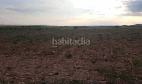 Foto f834e634-6522-461d-80ff-912c3a827498. Finca rústica a Jumilla