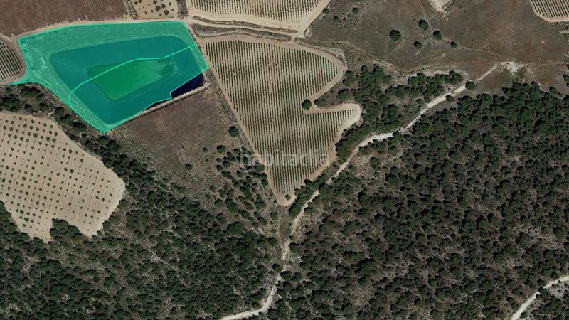 Foto 00d89a60-52cd-4d05-9127-43fde64312e1. Finca rústica a Jumilla