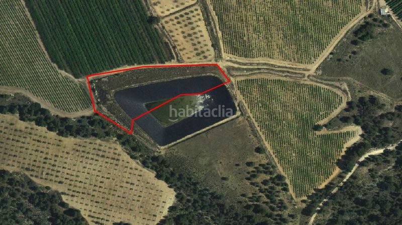 Foto c8660e20-e577-42e5-8e55-9af9cc2d9518. Finca rústica a Jumilla