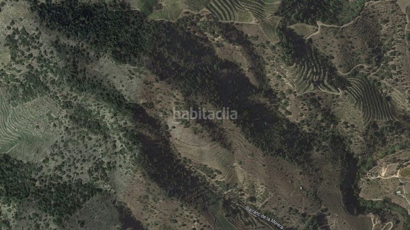 Foto e58e5dc4-8817-4792-a133-57a4a679da2c. Finca rústica a Poboleda