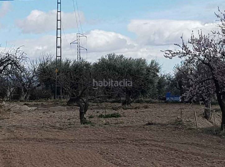 Foto f336ce2f-f21f-41af-871b-991f42be94c7. Finca rústica a Novelda
