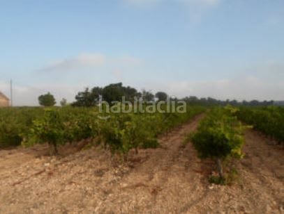Foto 096a6ce1-da96-49a5-8088-b37299cd2d56. Finca rústica a Partidas Norte Villena