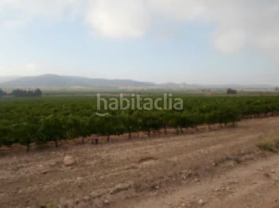 Foto 344f53f9-470c-4276-a337-a88c628a3886. Finca rústica a Partidas Norte Villena