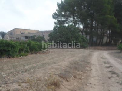 Foto 383c6433-e7e5-4b61-ac3d-412cf91a0fd7. Finca rústica a Partidas Norte Villena