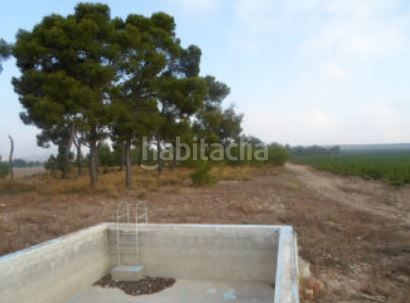 Foto 3b1a8255-957a-4fc3-9634-053c01cf140e. Finca rústica a Partidas Norte Villena