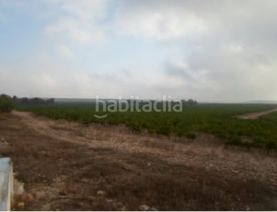 Foto 9cdb4b64-0918-42eb-8181-8530c928441a. Finca rústica a Partidas Norte Villena