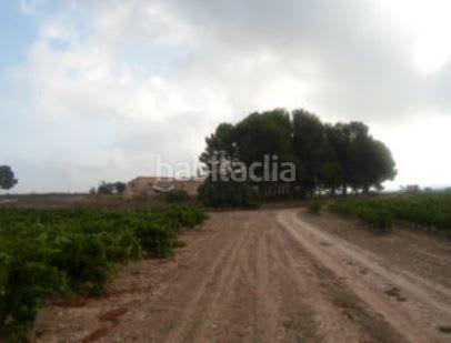 Foto 9f3dfb32-ffad-4b2a-81fb-f36f9c4203c8. Finca rústica a Partidas Norte Villena
