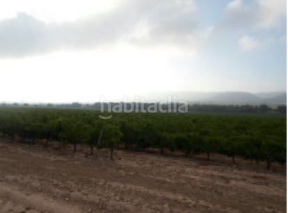 Foto d0c66807-3100-44e2-8661-fd909e7ff2ac. Finca rústica a Partidas Norte Villena