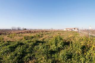 Rural plot in Polígono 9 parcela 367 marachatalan