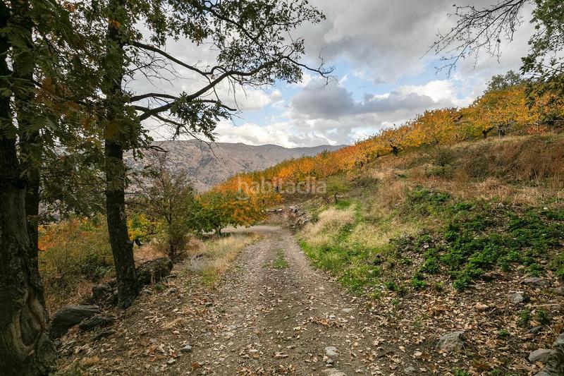 Foto 25cbe3a8-14cf-4b5b-9685-1a11917e806c. Finca rústica oportunidad unica en guejar sierra!!!! en Güéjar Sierra