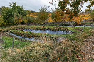 Rural plot in Güéjar Sierra. Oportunidad unica en guejar sierra!!!!