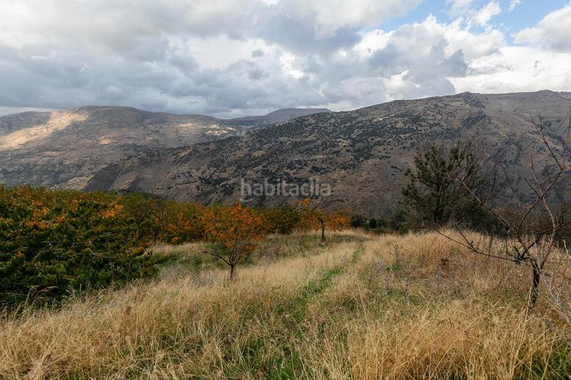 Foto 91b5000f-594f-4acb-8877-d81fe76730ad. Finca rústica oportunidad unica en guejar sierra!!!! en Güéjar Sierra