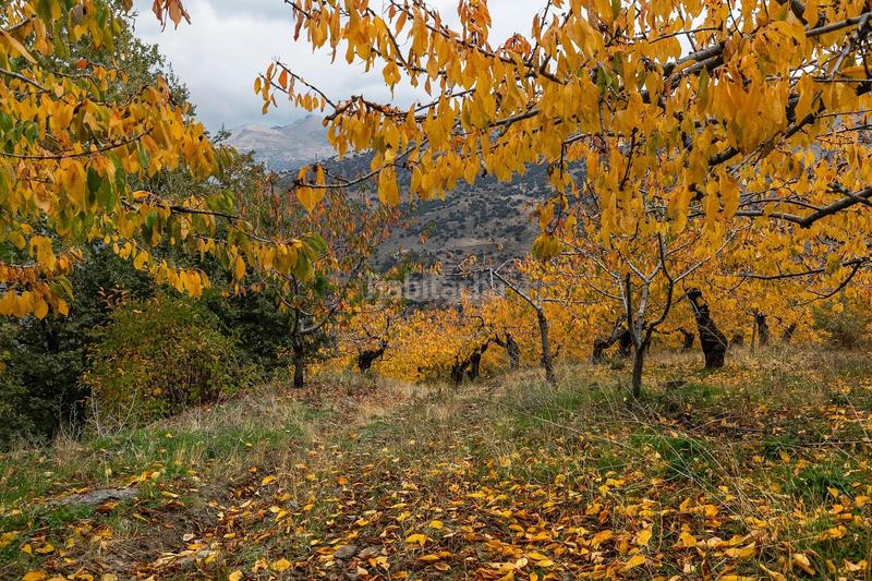 Foto a341416d-37da-4363-8b0a-a94ab5530391. Finca rústica oportunidad unica en guejar sierra!!!! en Güéjar Sierra