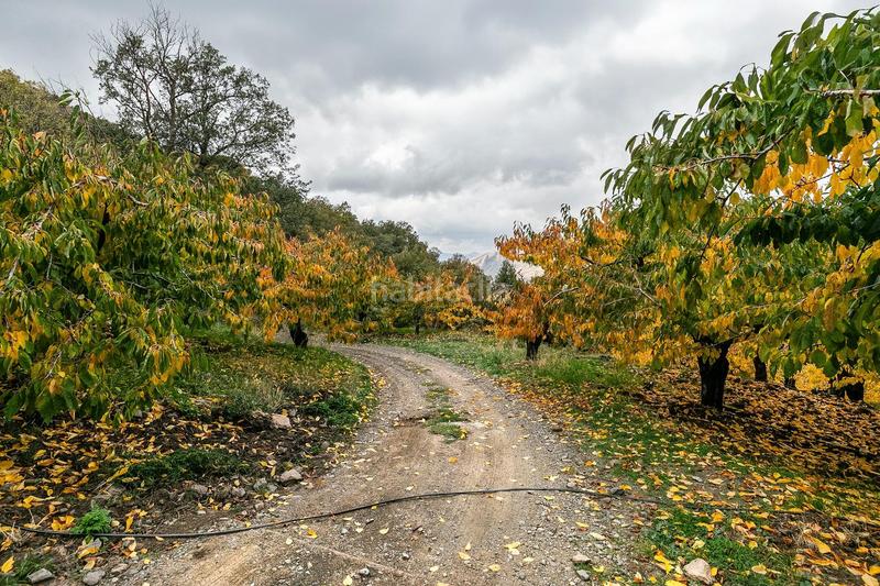 Foto a3bd99a9-12ce-491f-8f27-7231df87a087. Finca rústica oportunidad unica en guejar sierra!!!! en Güéjar Sierra