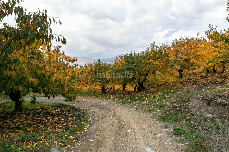 Foto b8cd734b-361f-4fec-b0b0-5853491555c8. Finca rústica oportunidad unica en guejar sierra!!!! en Güéjar Sierra
