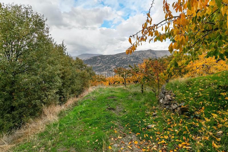 Foto b91cc570-9af8-49af-9e6e-920a8fc993cf. Finca rústica oportunidad unica en guejar sierra!!!! en Güéjar Sierra