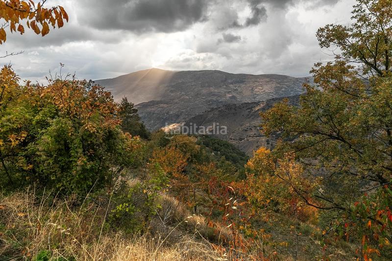 Foto e2977843-524e-444e-8f24-2df6b8154383. Finca rústica oportunidad unica en guejar sierra!!!! en Güéjar Sierra