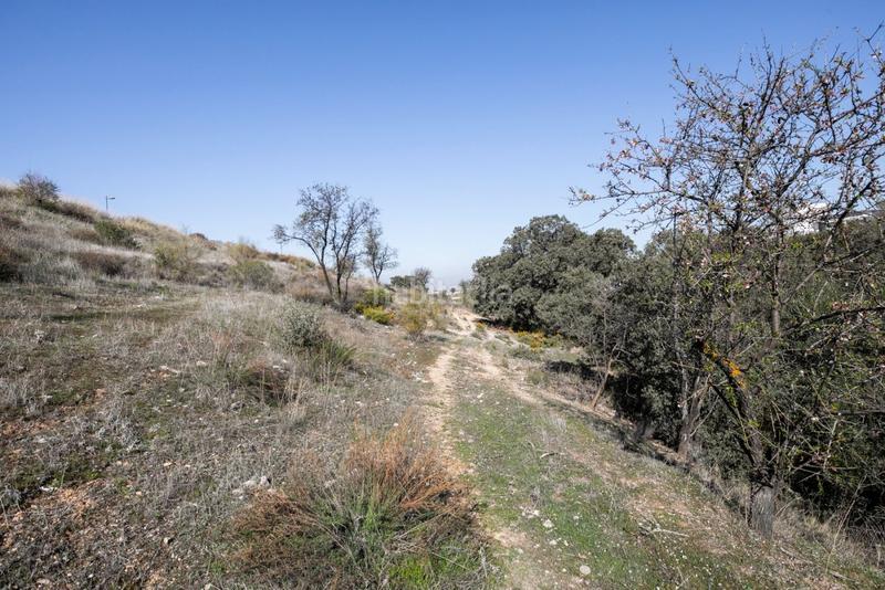 Foto c02b8c23-6a89-4cd4-a6b3-4ced42b65c00. Terrain résidentiel dans calle rio guadalfeo 280 dans Zubia (La)