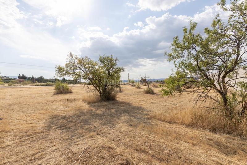 Foto 77a95210-f248-4785-8460-8ab5082d4e3d. Propriété dans Moraleda de Zafayona