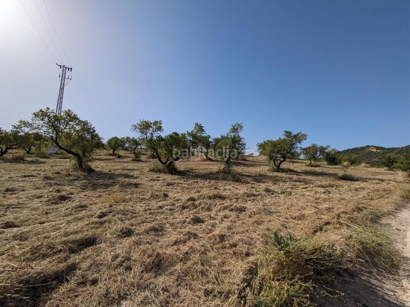 Foto 0f97dea0-724b-4a8a-b627-0c69b8feb8a6. Terreno residenziale in extrarradio in Jayena