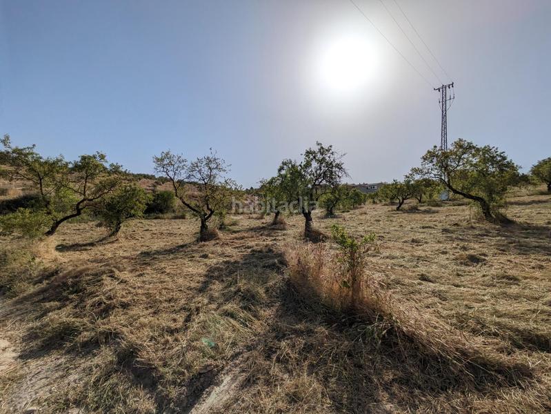 Foto 13aa0b85-3726-422f-934e-f87a323984e1. Terreno residenziale in extrarradio in Jayena