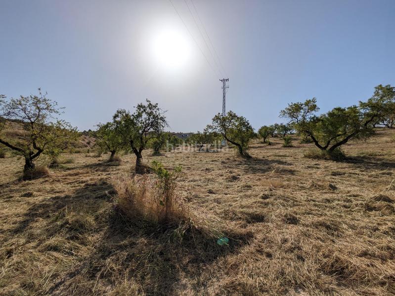 Foto 3bfef8ac-eb1e-46da-823e-034d8271ff2c. Terreno residenziale in extrarradio in Jayena