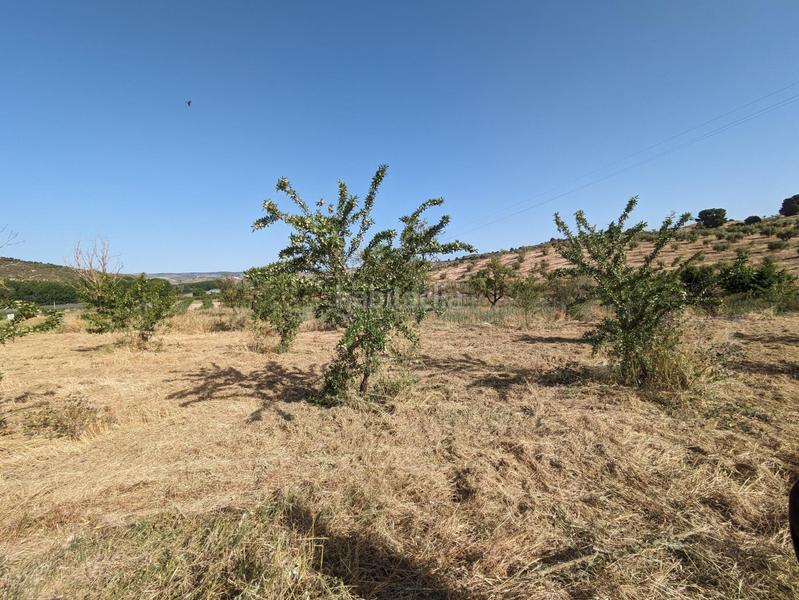 Foto 428f402c-b72c-4aae-904f-81b8c1da52a3. Terreno residenziale in extrarradio in Jayena